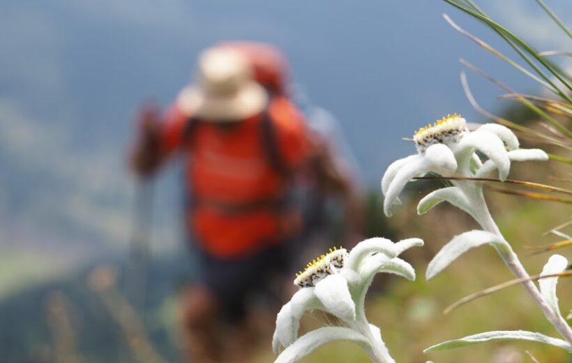 Trekking: The Peaks of the Balkans Trail